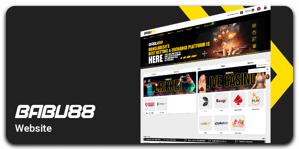 Official Website Layout